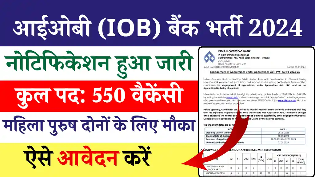 IOB Bank Vacancy 2024